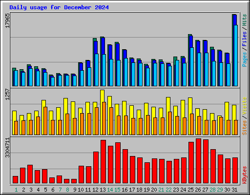 Daily usage for December 2024