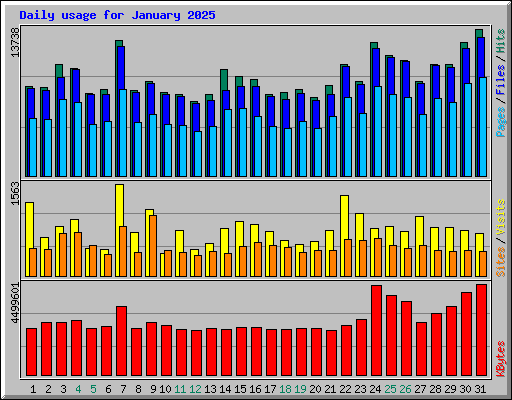 Daily usage for January 2025