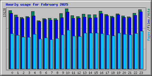 Hourly usage for February 2025