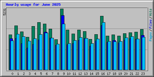 Hourly usage for June 2025