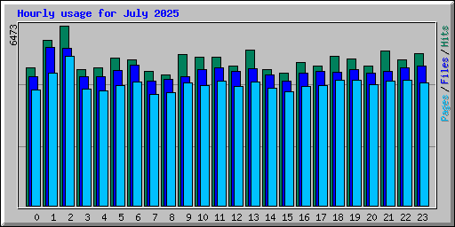 Hourly usage for July 2025