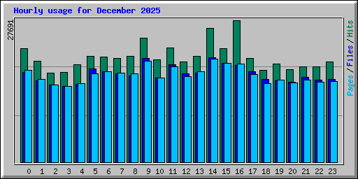 Hourly usage for December 2025